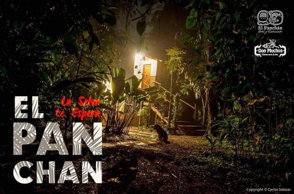El Panchan بالينكو المظهر الخارجي الصورة